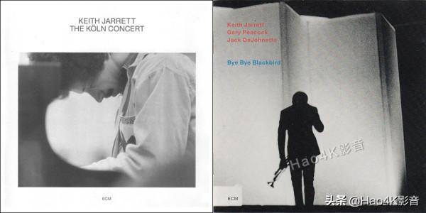 Marten Parker Quintet 音箱詳細評測