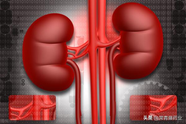 慢性腎臟病（CKD）你知道多恐怖？醫生：學會看報告，重視體檢