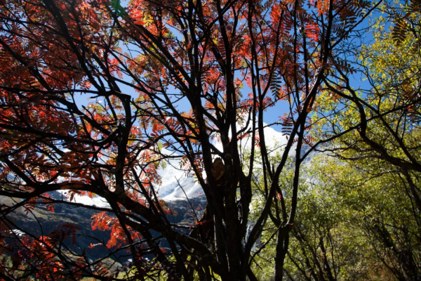 川西環線之旅 - 稻城三神山，世界級的雪山
