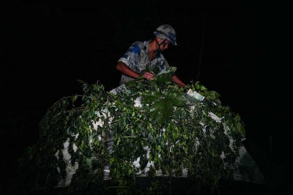 我們是空軍“獵人” 我們是空軍“獵人”