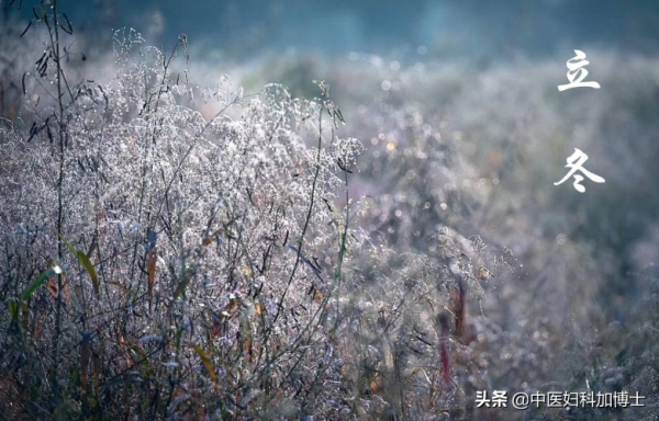 冬季別錯過這4大“養陰高手”，健脾胃清肺熱，好處吃過的人都懂