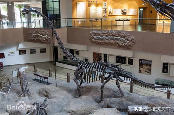 新疆有個地方叫昌吉 新疆有個地方叫昌吉