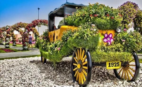 分享，最美花卉公園，收藏了