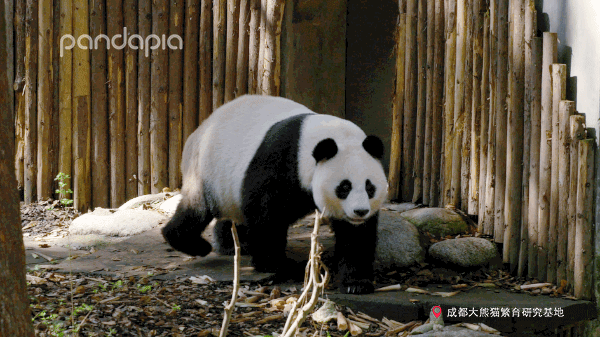 依稀記得當初網購是為了省錢來著？