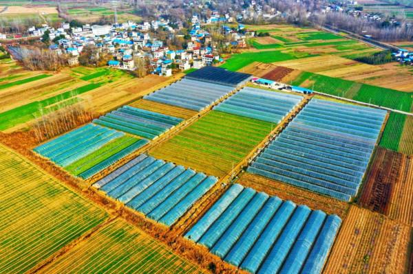 鄉村振興看一線｜江心洲上的創業姐弟