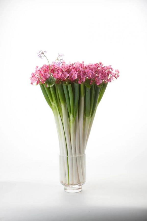 蔬菜水果還能這麼玩？！快讓家裡的廚房靚起來