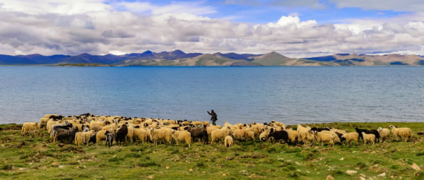 為什麼我勸你一定要在冬天去西藏