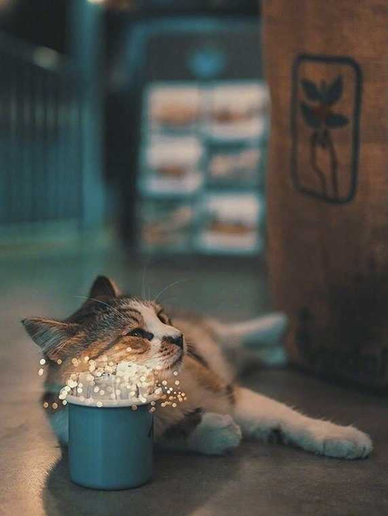 哪一句話,突然紮了你的心? 哪一句話,突然紮了你的心?