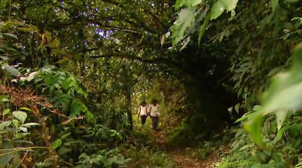 玻利維亞小孩為了上學，每天劃鋼索穿越300米峽谷，失誤就喪命