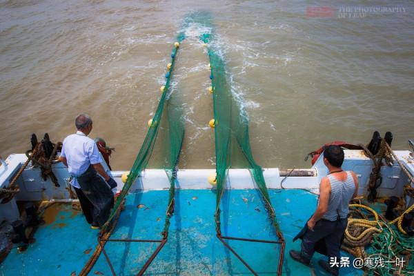 二十人4500元包船出海捕魚，捕獲的海鮮吃完一餐，每人還分到一箱