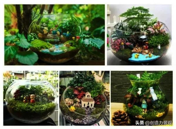 把大自然裝進瓶子裡，種在瓶子裡的微景觀究竟有多美？