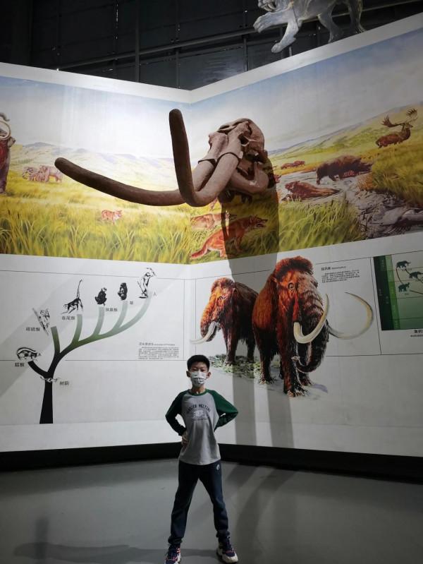 親子旅行-看,好多恐龍蛋呀 親子旅行-看,好多恐龍蛋呀