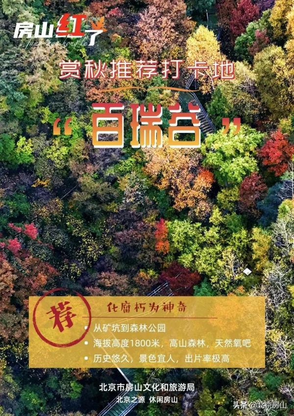 秋意濃,房山紅 !這鄉鎮三處迷人秋景齊亮相! 秋意濃,房山紅 !這鄉鎮三處迷人秋景齊亮相!
