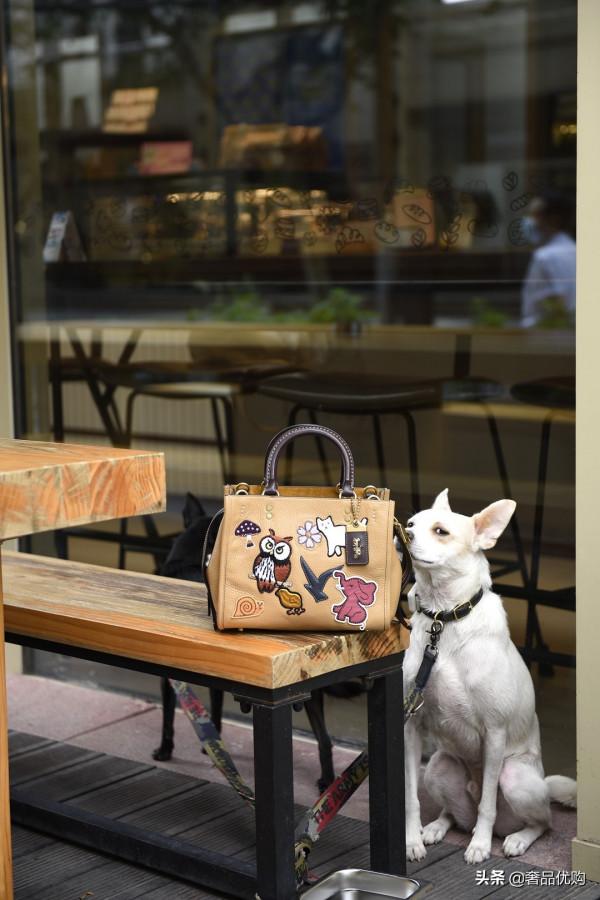 Coach Rogue手袋迴歸：城市漫遊指南，從一隻合適的包包開始