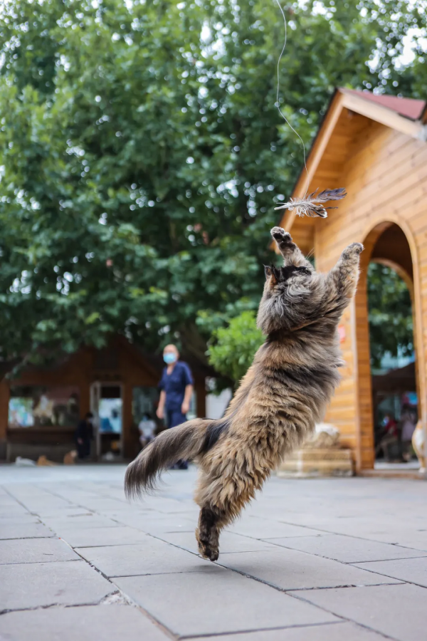 我像風一樣自由 我像風一樣自由