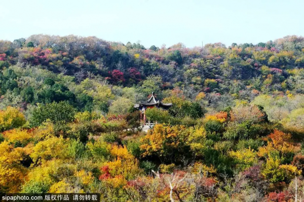 部分免費！北京賞秋“價效比”最高選擇都在這兒了！