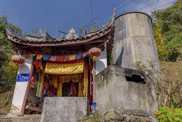 開車2小時也要來的成都古寺銀杏，不要門票很良心，每年只火七天