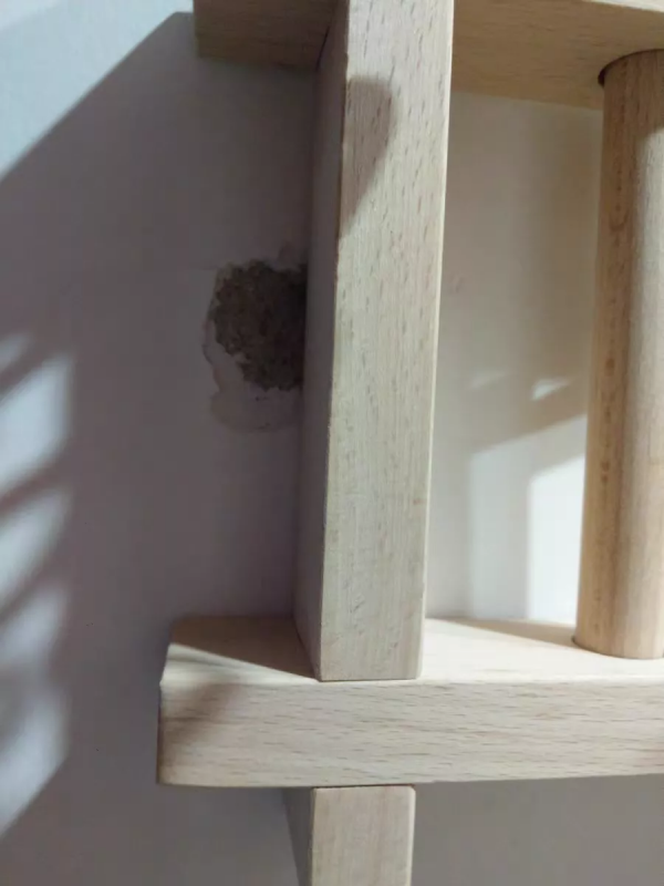 人人家裡都有的2㎡,真的醜爆了 人人家裡都有的2㎡,真的醜爆了