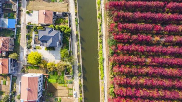 驚豔！孝感新一輪網紅打卡地——陡崗鎮袁湖村