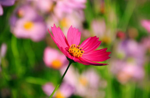 退休後的社交潛規則：儘量不去麻煩別人