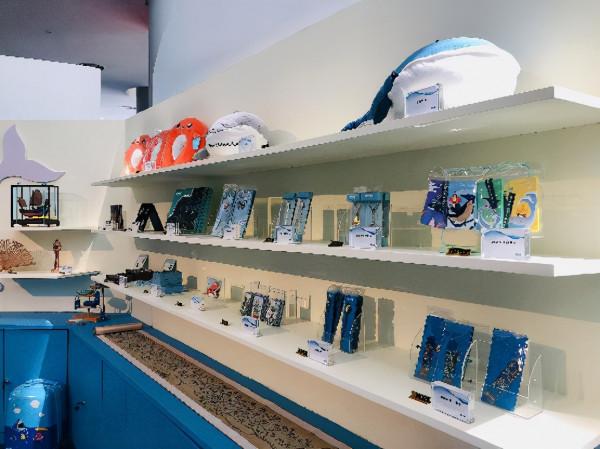 “邂逅”南海鯨靈！相約博物館赴一場奇遇