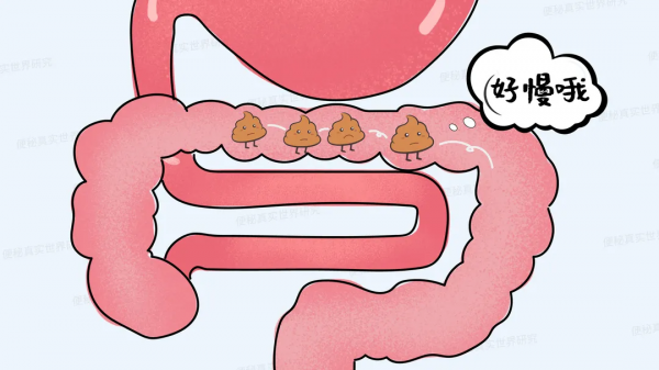 總便秘的人，身體到底是哪個部位出現了問題？