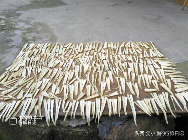 廣西龍脊梯田,震撼美景背後,當地人的真實生活讓我們“意外” 廣西龍脊梯田,震撼美景背後,當地人的真實生活讓我們“意外”