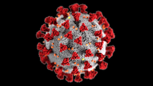 都知道黃金每年元旦前後是高價，可是為何不知道現在是機會