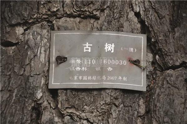 「北京風采」大水峪關口 文化風光兩相宜