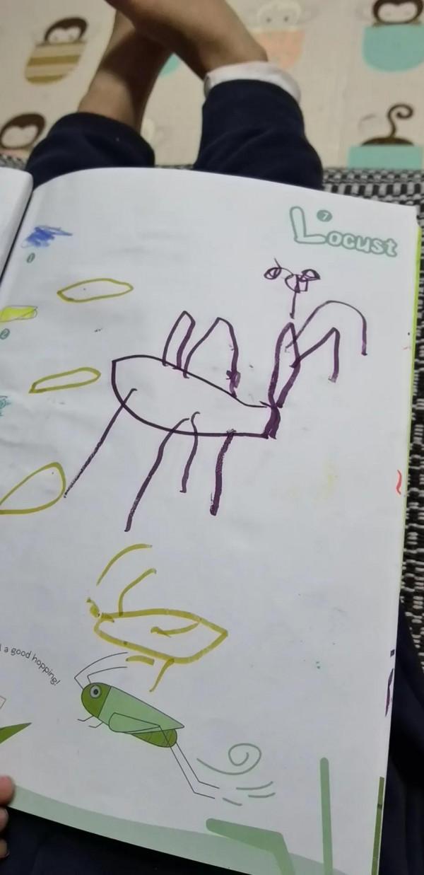 小孩的繪畫“作品”