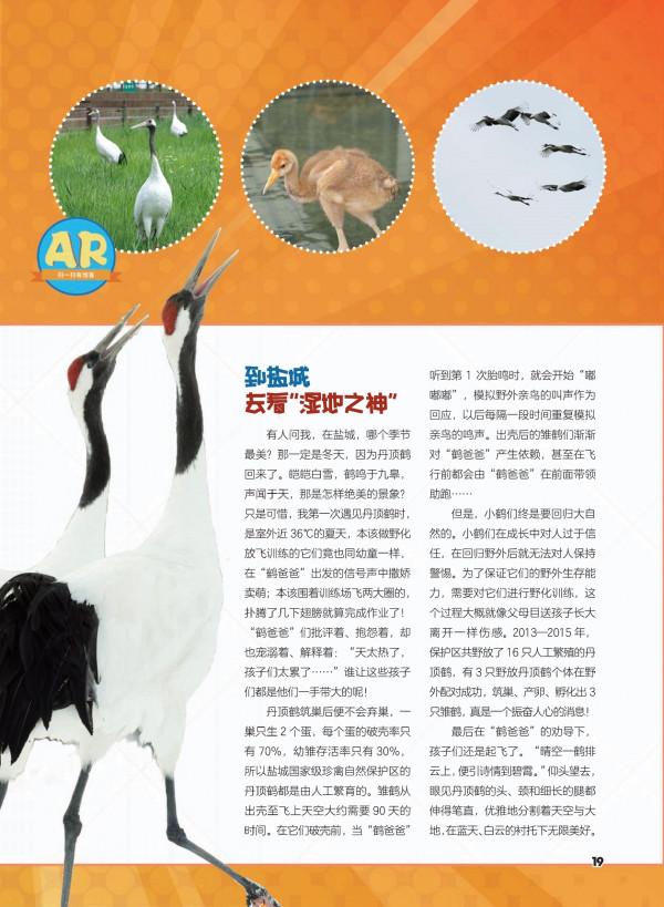 丹頂鶴為什麼叫仙鶴? 丹頂鶴為什麼叫仙鶴?