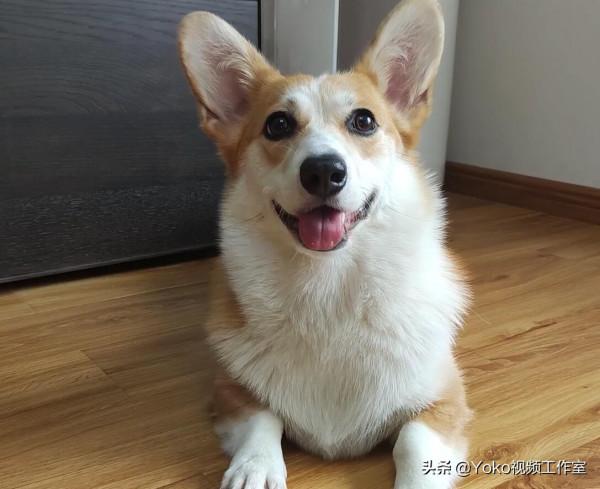 2022膝上型電腦，需要最佳化的8個地方