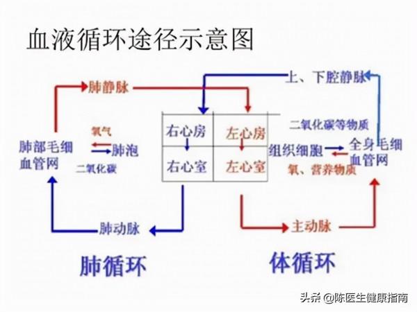 老年人脈壓很大是什麼原因？有哪些危害？該如何治療？