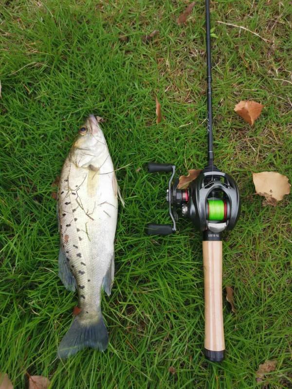 路亞拋不遠?談談路亞遠投的幾個關鍵 路亞拋不遠?談談路亞遠投的幾個關鍵