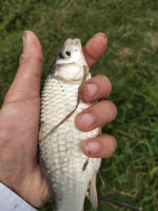 玩玩小短杆，輕鬆隨意