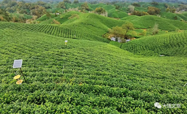 看,這就是大悟的秋 看,這就是大悟的秋