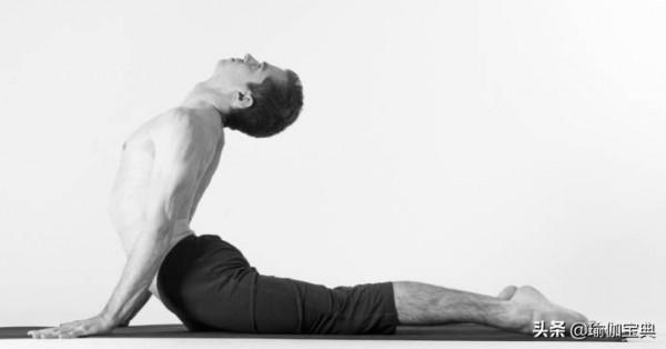 瑜伽眼鏡蛇姿勢的重要性 眼鏡蛇姿勢是最有力、最有益的姿勢之一 瑜伽眼鏡蛇姿勢的重要性 眼鏡蛇姿勢是最有力、最有益的姿勢之一