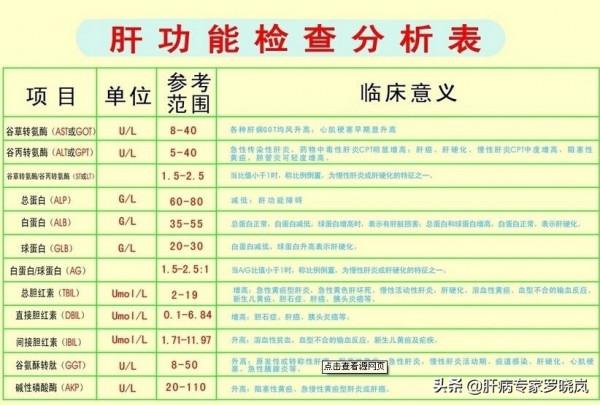 肝功能指標，你不可不知！3分鐘教你看懂肝功能檢查