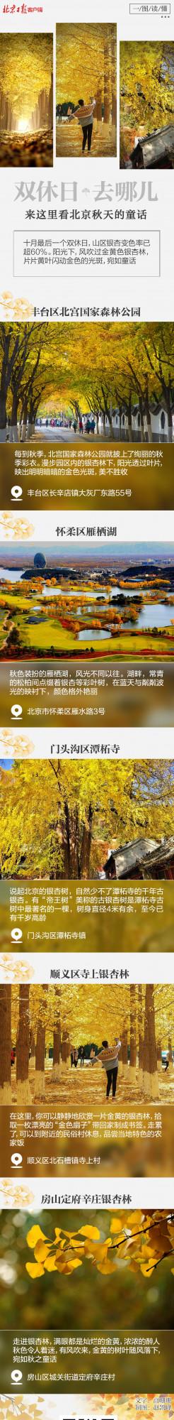 雙休日去哪兒？來這裡看北京秋天的童話