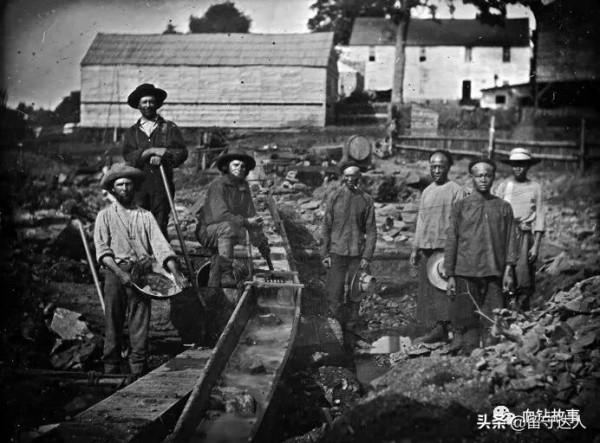 澳大利亞簡歷 澳大利亞簡歷