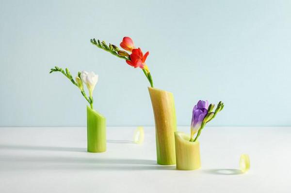 看《周易》之乾坤兩卦