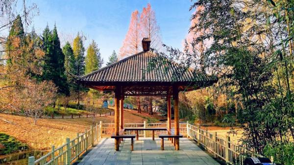 北京紫竹院公園初冬的水中倒影彷彿水墨畫