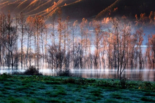 南國的樹葉，北國的白雪，這麼美的季節，怎忍心辜負？出發吧