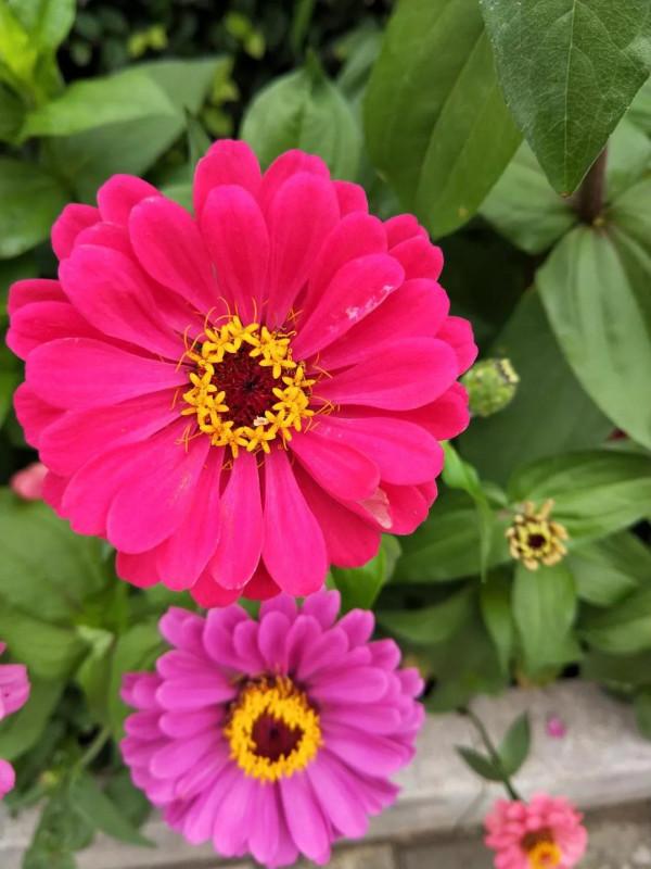 往事只能回味 往事只能回味