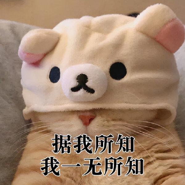 沒想到2021年還能有甄嬛傳的梗?甄嬛傳裡的廢話文學大家學會嗎? 沒想到2021年還能有甄嬛傳的梗?甄嬛傳裡的廢話文學大家學會嗎?