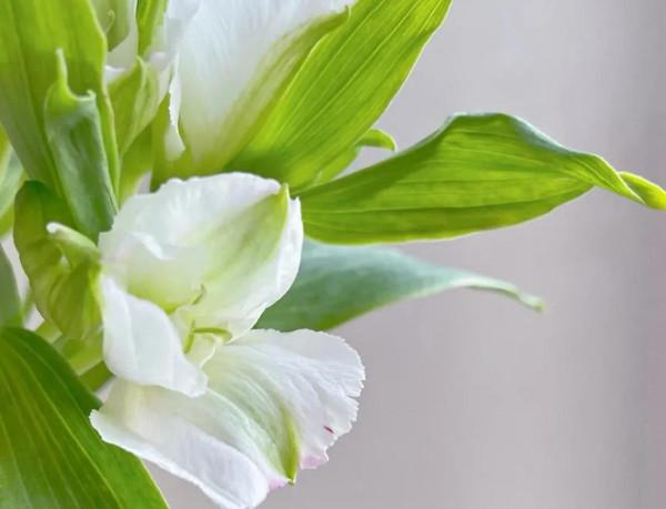 《道德經》層次越高的人，越敬畏因果，敬畏自然，也越遵道而行