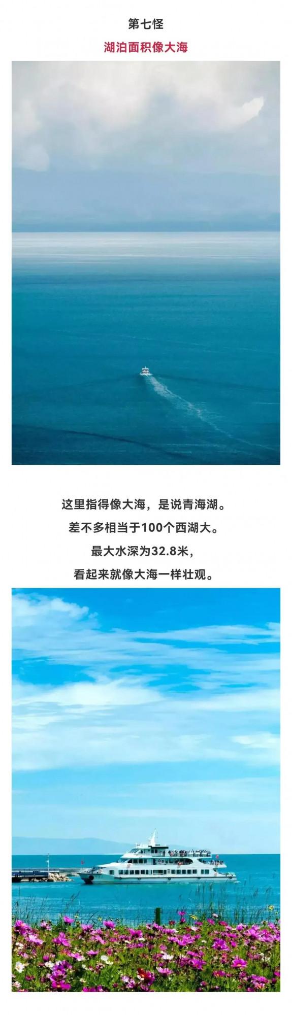 西北十四怪,有的怪可愛 西北十四怪,有的怪可愛