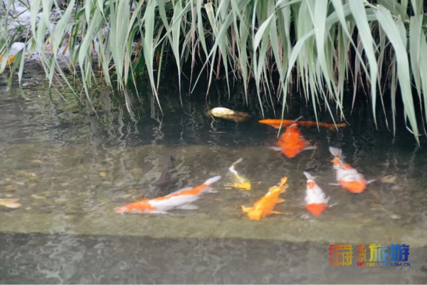 探秘！北京居然藏著一座地下城，重回老巷子裡的舊時光~