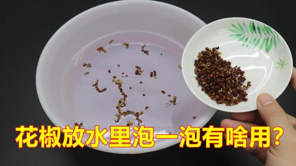 別拿花椒只當調味品用，在生活中的作用也不少，長見識了