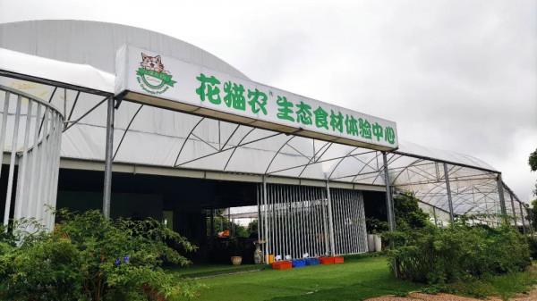 投入2000萬苦研“魚菜共生”,只為讓更多人平價吃到頂級食材 投入2000萬苦研“魚菜共生”,只為讓更多人平價吃到頂級食材